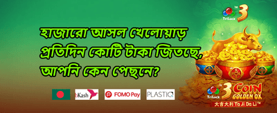 মেগা স্লট ফ্রি স্পিন উৎসব promotion banner
